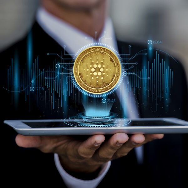 Navigating the Crypto Craze: A Comprehen…