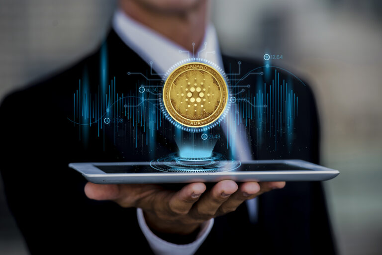 Navigating the Crypto Craze: A Comprehen…