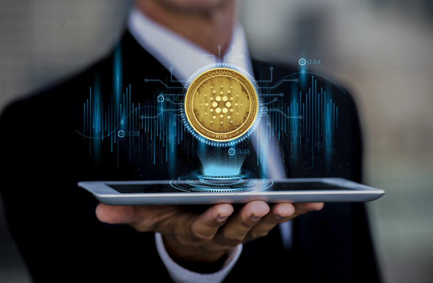 Navigating the Crypto Craze: A Comprehen…