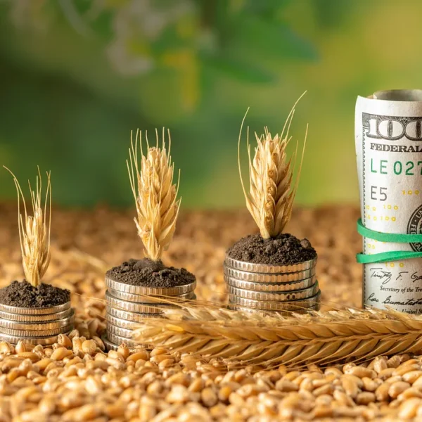The intricacies of Agriculture commodity…